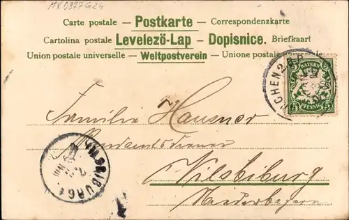 Litho Glückwunsch Neujahr 1902, Tannenzweig