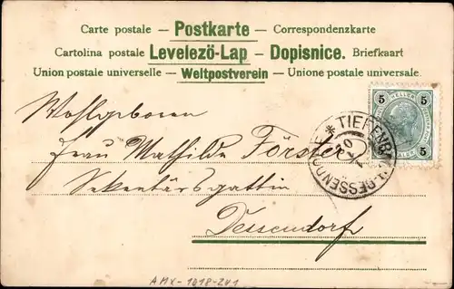 Ak Glückwunsch Neujahr 1902, Vergissmeinnicht, Schwalben