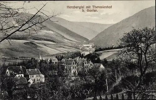 Ak Goslar am Harz, Herzberg mit Theresienhof