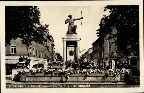 Ak Großenhain Sachsen, Diana-Brunnen mit Frauenmarkt, Apotheke