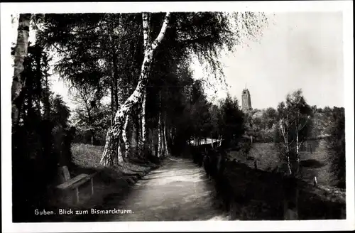 Ak Guben in der Niederlausitz, Wegpartie, Bismarckturm