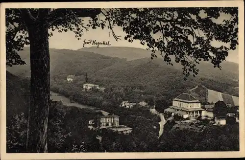 Ak Gernrode Quedlinburg im Harz, Hagental