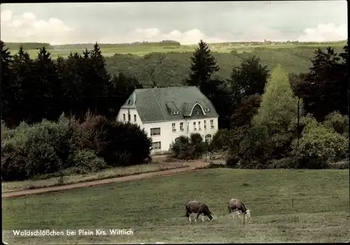 Ak Plein in Rheinland Pfalz, Hotel Restaurant Waldschlösschen