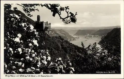 Ak Wellmich am Rhein Sankt Goarshausen, Burg Maus, Panorama