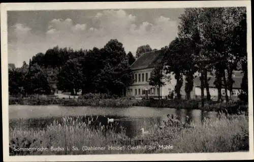 Ak Bucha Dahlen in Sachsen, Gasthof zur Mühle