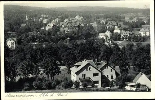 Ak Polanica Zdrój Bad Altheide Schlesien, Panorama