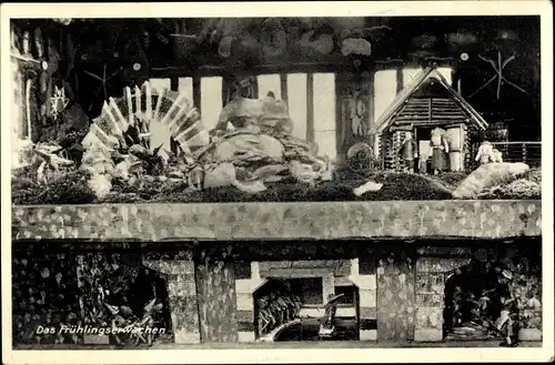 Ak Międzygórze Wölfelsgrund Schlesien, Waldmuseum, Das Frühlingserwachen