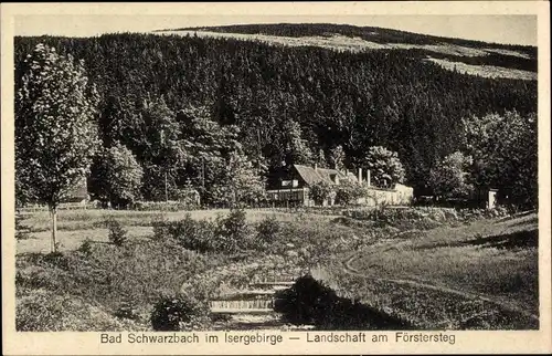 Ak Czerniawa Zdrój Bad Schwarzbach Isergebirge Schlesien, Landschaft am Förstersteg