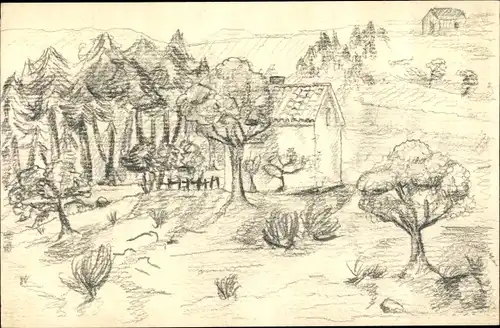 Handgemalt Ak Wohnhaus, Bäume, Tannenbäume, Wald