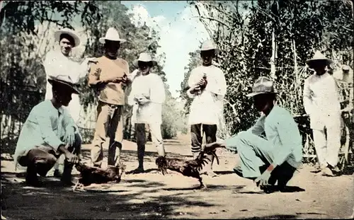 Ak Manila Philippinen, Cock Fight, Hahnenkampf