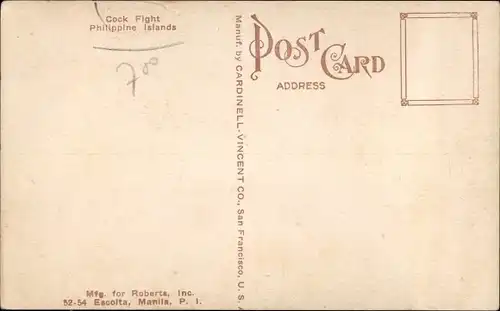 Ak Manila Philippinen, Cock Fight, Hahnenkampf