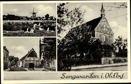 Ak Sengwarden Wilhelmshaven in Niedersachsen, Kirche, Windmühle, Ortspartie, Rinder