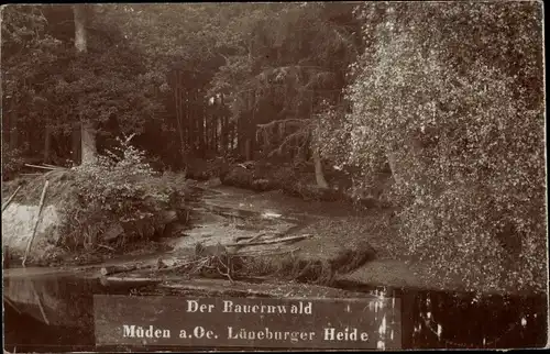 Ak Müden an der Örtze Faßberg Lüneburger Heide, Der Bauernwald