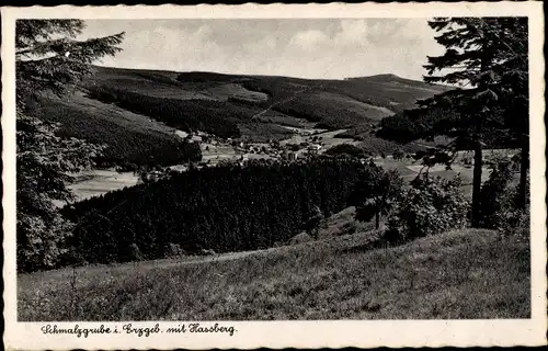 Ak Schmalzgrube Jöhstadt im Erzgebirge Sachsen, Teilansicht mit Hassberg