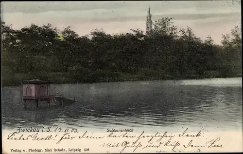 Ak Zwickau in Sachsen, Schwanenteich