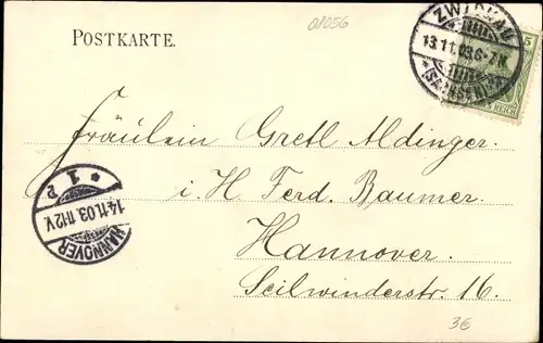 Ak Zwickau in Sachsen, Schwanenteich