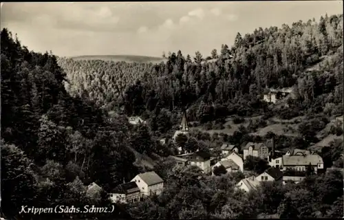 Ak Krippen Bad Schandau Sächsische Schweiz, Panorama
