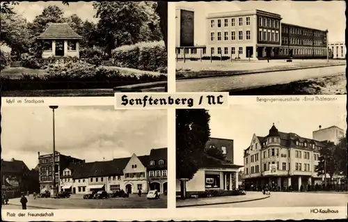 Ak Senftenberg Niederlausitz, Stadtpark, HO Kaufhaus, Schule Ernst Thälmann, Pl. d. Freundschaft
