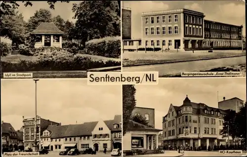 Ak Senftenberg Niederlausitz, Stadtpark, Bergingenieurschule E. Thälmann, Platz der Freundschaft