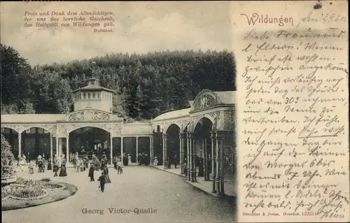 Ak Bad Wildungen in Nordhessen, Georg Victor Quelle