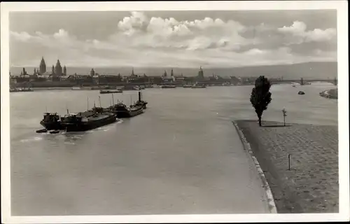 Ak Mainz am Rhein, Blick auf die Stadt und Mainspitze, Rolf Kellner