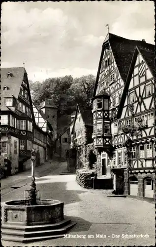 Ak Miltenberg am Main Unterfranken, Das Schnatterloch