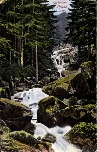 Ak Hasserode Wernigerode am Harz, Steinerne Renne