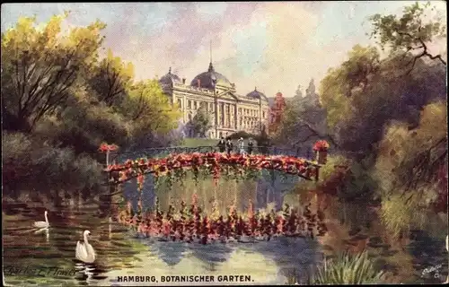 Künstler Ak Flower, C., Hamburg, Botanischer Garten