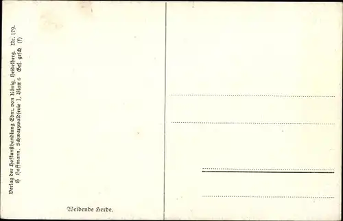 Künstler Ak Hoffmann, H., Schwarzwald, Weidende Kuhherde, Hirtenmädchen