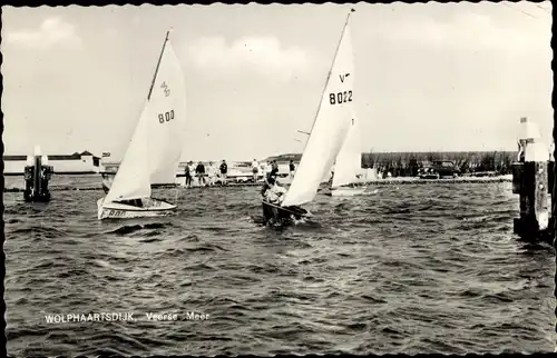 Ak Wolphaartsdijk Zeeland, Veerse Meer, Segelpartie