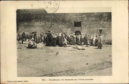 Ak Fès Fez Marokko, Distribution des Semences aux Tribus soumises