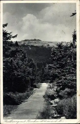 Ak Brocken Nationalpark Harz, Goetheweg mit Brocken