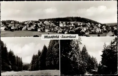 Ak Madfeld Brilon im Sauerland, Totalansicht, Waldpartien