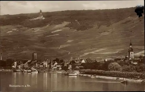 Ak Rüdesheim am Rhein, Panorama, Niederwald Nationaldenkmal