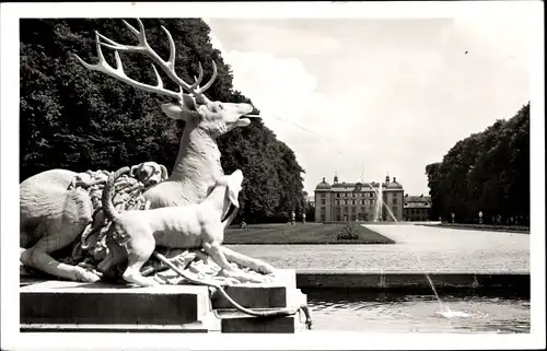 Ak Schwetzingen in Baden, Schlossgarten, Hirschgruppe mit Blick zum Schloss