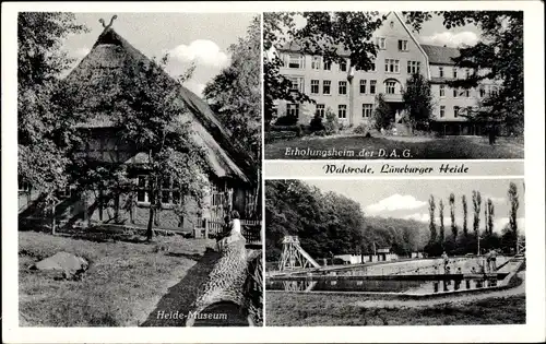 Ak Walsrode in der Lüneburger Heide, Heide-Museum, Erholungsheim der D.A.G., Schwimmbad