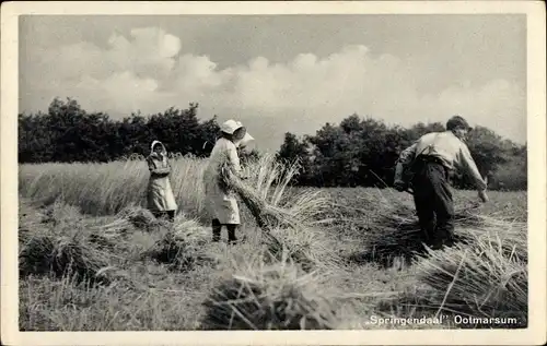 Ak Ootmarsum Twente Overijssel Niederlande, Springendaal