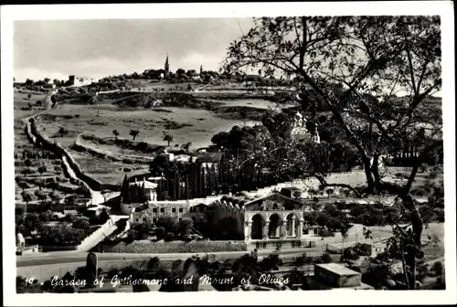 Ak Gethsemane Israel, Garden of Gethsemane an Mount of Oliviers
