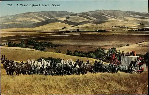 Ak Washington USA, Harvest Scene