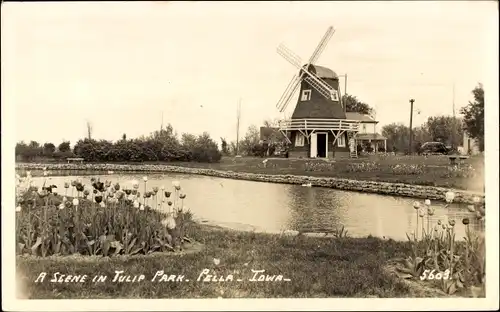 Ak Pella Iowa USA, A Scene in Tulip Park, Windmühle