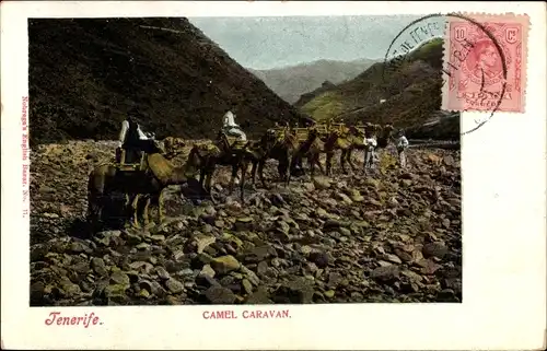Ak Tenerife Teneriffa Kanarische Inseln Spanien, Camel Caravan