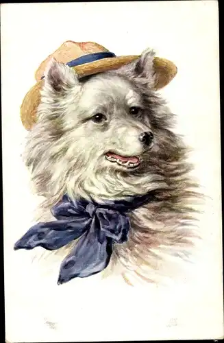 Ak Hund mit Hut und Schleife, Tierportrait