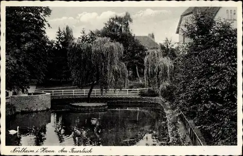 Ak Northeim in Niedersachsen, Am Feuerteich