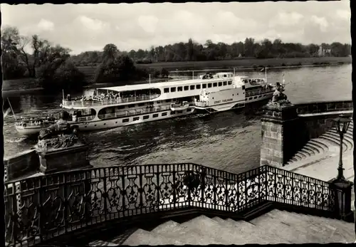 Ak Dresden Pillnitz, Fahrgastschiff MS Ernst Thälmann auf der Elbe