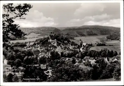 Ak Pappenheim im Altmühltal Mittelfranken, Totale