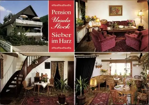 Ak Sieber Herzberg am Harz, Pension Ursula Stock