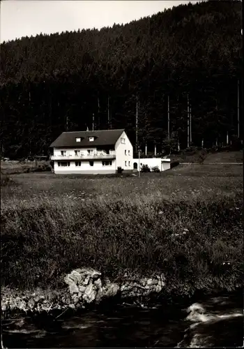 Ak Enzklösterle im Schwarzwald, Pension Jägerwinkel, Wald