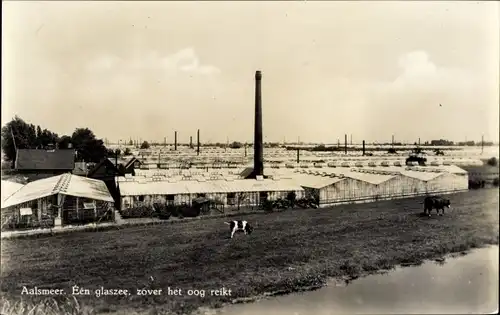 Ak Aalsmeer Nordholland Niederlande, Een glaszee, zover het oog reikt