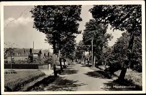 Ak Mijnsheerenland Südholland, Hoflaan