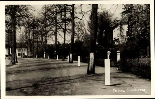 Ak Terborg Gelderland, Silvoldseweg